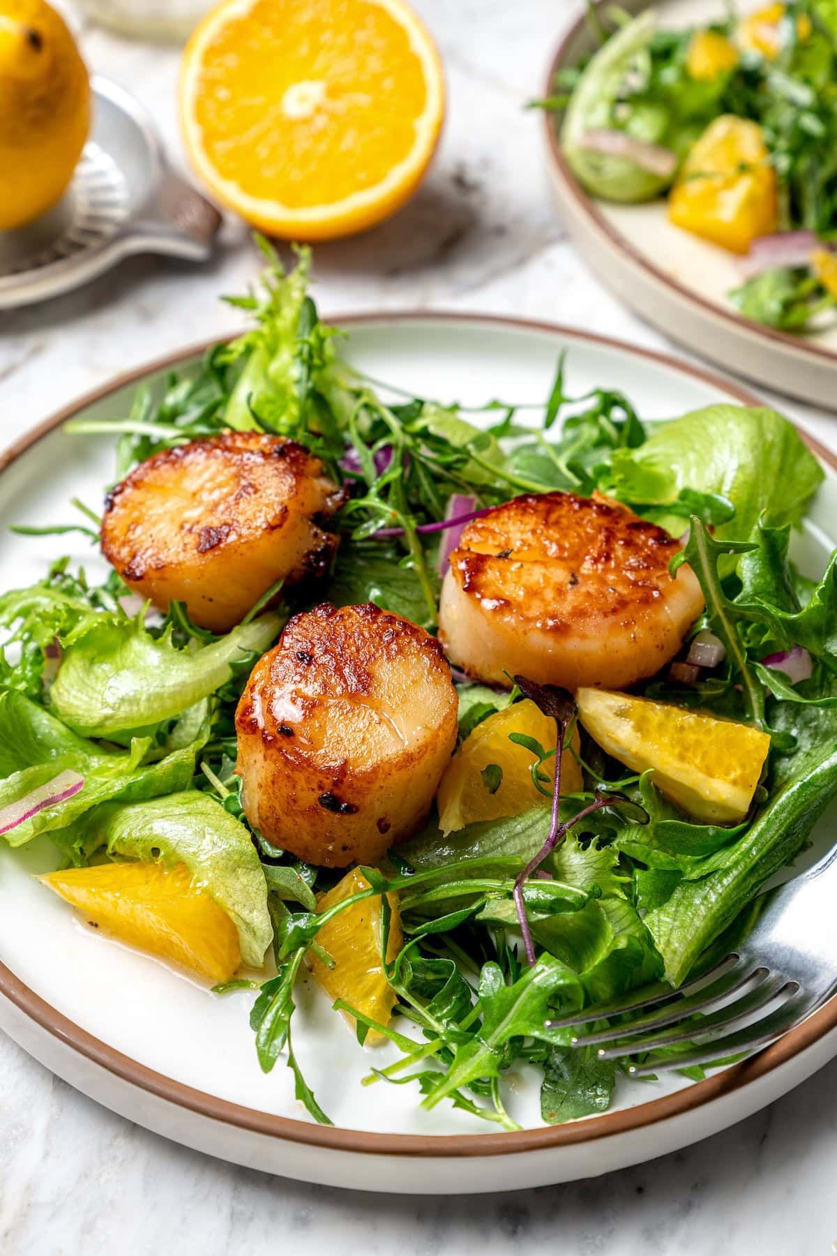 Seared scallops on plate with citrus salad