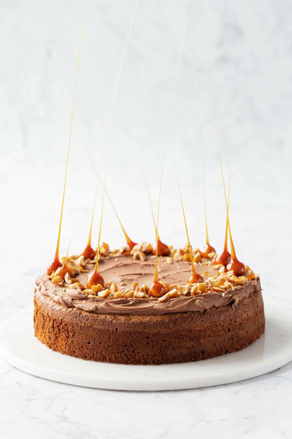 Single layer Flourless Hazelnut Cake with Nutella Whipped Ganache and decorated with dramatic candied hazelnut spikes.