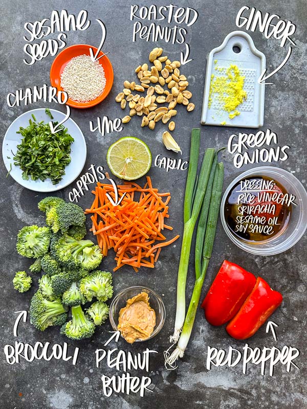 Thai Broccoli Salad – A crunchy, vibrant salad packed with bold flavors. Tossed with a zesty peanut dressing, this refreshing dish is perfect for meal prep, potlucks, or a light, nourishing meal. Find the recipe on Shutterbean.com #healthyrecipes #mealprep #saladlove #eattherainbow