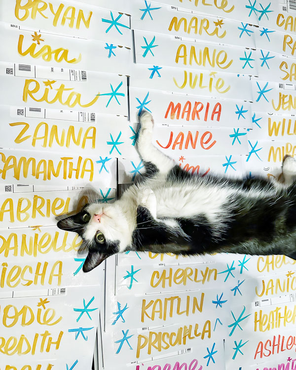 My Everyday Life Week 46 of 2024- Tracy Benjamin of Shutterbean.com