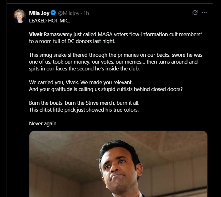 MAGA activist Mila Joy posted a 'fake' story about Vivek Ramaswamy.